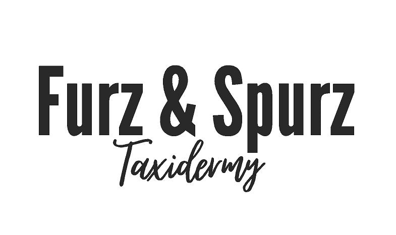 Furz & Spurz Taxidermy Merchandise