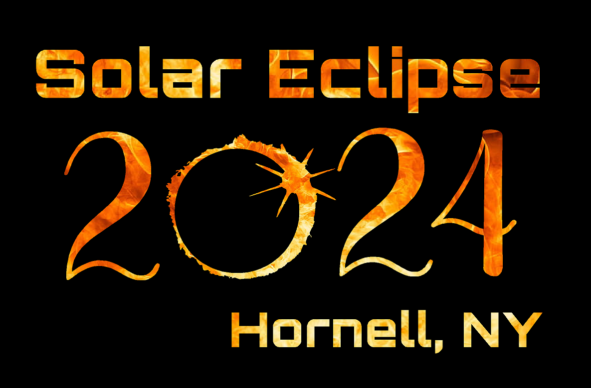 Library Eclipse Fundraiser 8000 Gildan® - DryBlend® 50 Cotton/50 Poly T-Shirt