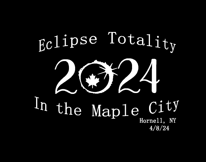 Library Eclipse Fundraiser 8000 Gildan® - DryBlend® 50 Cotton/50 Poly T-Shirt