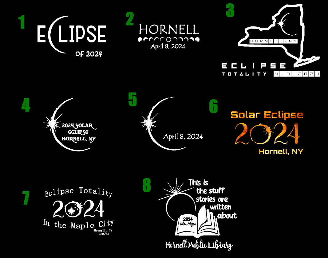 Library Eclipse Fundraiser 18500 Gildan® - Heavy Blend™ Hooded Sweatshirt