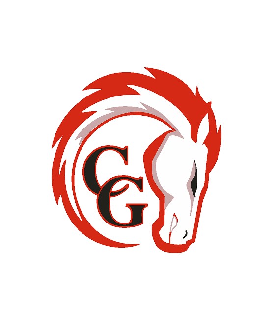 CG Chargers Gray Gildan Hoodie Adult/Youth 18500