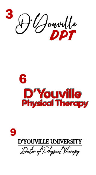 D'Youville Physical Therapy HA563 Holloway 229563 All-American Hoodie