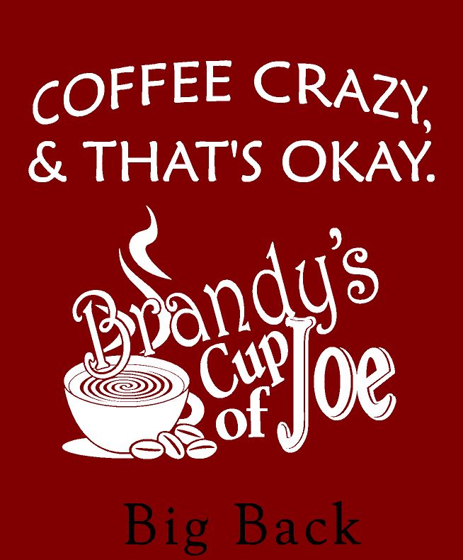 BCOJ EZ381 Enza® 38179 Ladies Garment Washed Chalk Fleece Colorblock Pullover Hood