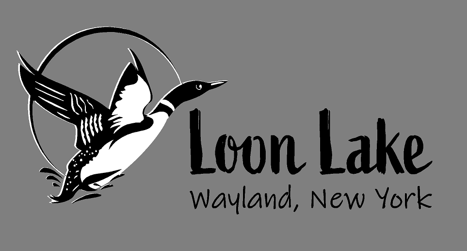 Loon Lake Embroidered EZ340 Ladies Enza Classic Hoodie
