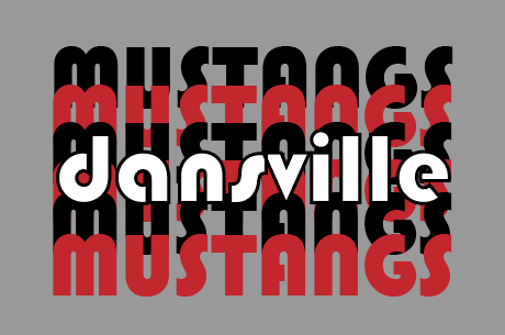 Gray Dansville Echo Design tshirt cv207