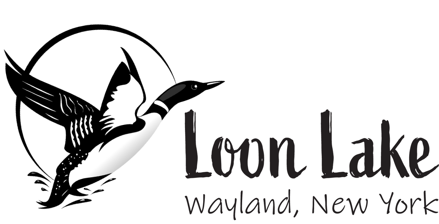 LL Loon Bird (Embroidered) Eddie Bauer Golf Polo