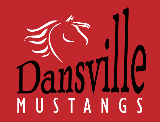 Dansville CSD Red Hoodie 18500