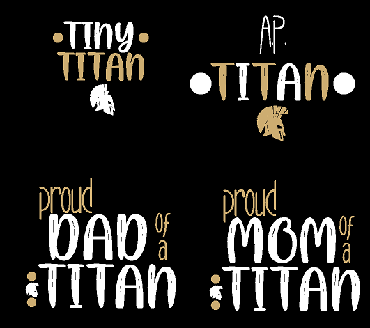 AP Avoca Prattsburgh Family Tshirts BC3001