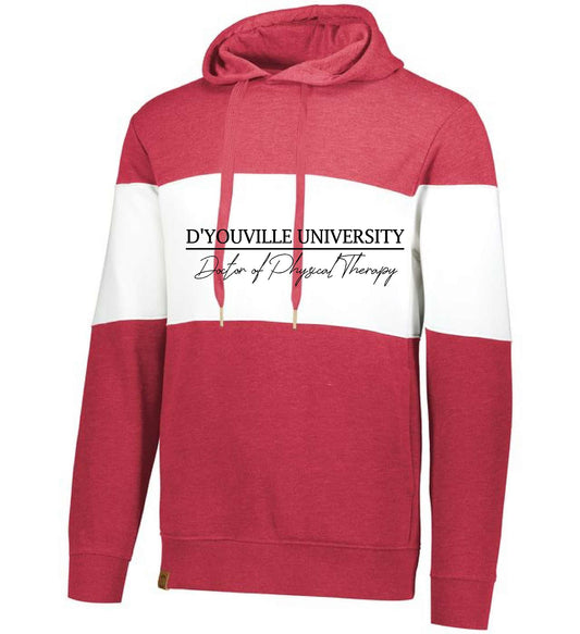 D'Youville Physical Therapy HA563 Holloway 229563 All-American Hoodie