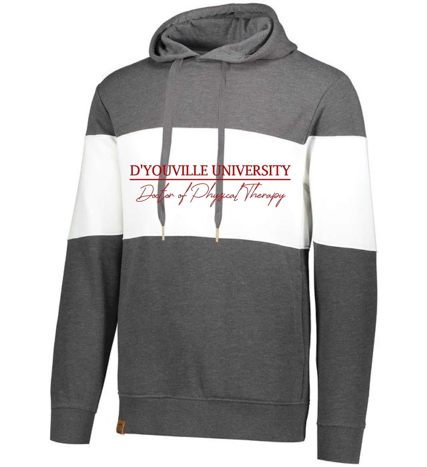 D'Youville Physical Therapy HA563 Holloway 229563 All-American Hoodie