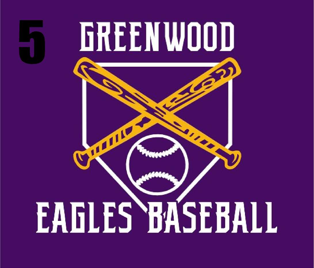 Greenwood Eagles Baseball tshirt 8000 unisex Adult/Youth
