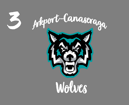 Arkport-Canaseraga Wolves Sport-tek Mens 2 Tone Polo ST641