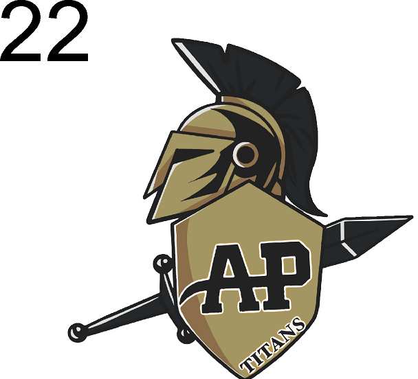 AP Avoca Prattsburgh Polo Shirt K528