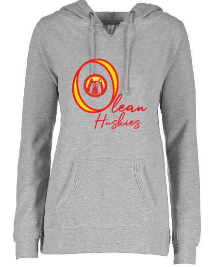 Olean School Ladies Enza V-notch hoodie in Athletic Gray EZ395