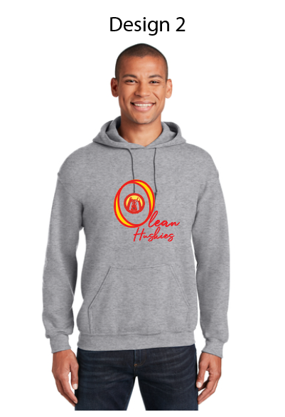 Olean School Gray Adult/Youth Hoodie BC3719